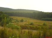 
  Scenaries on the way to Royal Natal National Park, Shot around 8:30AM