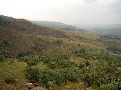 
  What are the bushman doing here... Opps sorry they are Navaid and Yaseen