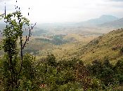 
  Our trip back to the camp