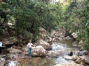 
  Asim: End of Trip Snaps