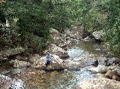 
  Yousuf: End of Trip Snaps